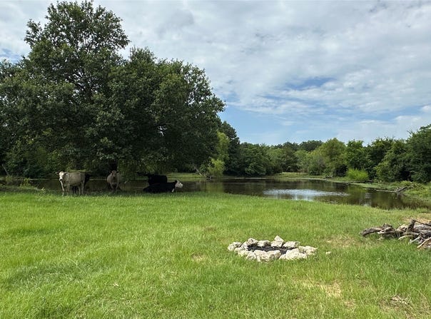 LCR 786, Thornton, TX 76687
