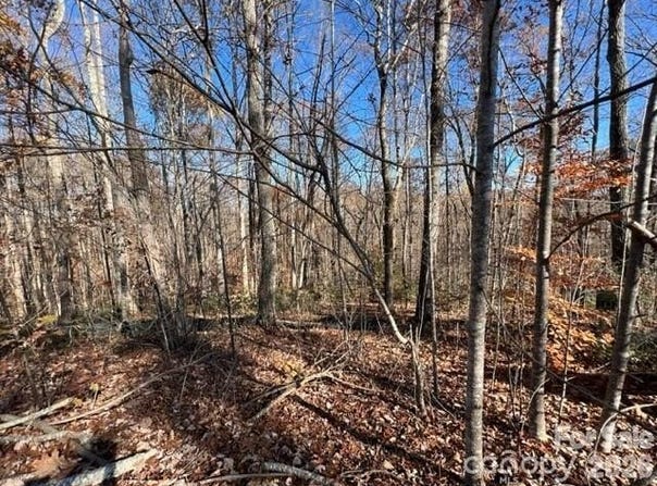 Trail Ridge Drive, Marion, NC 28752