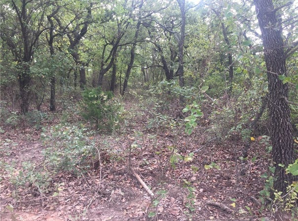 Starr Mann, St Jo, TX 76265