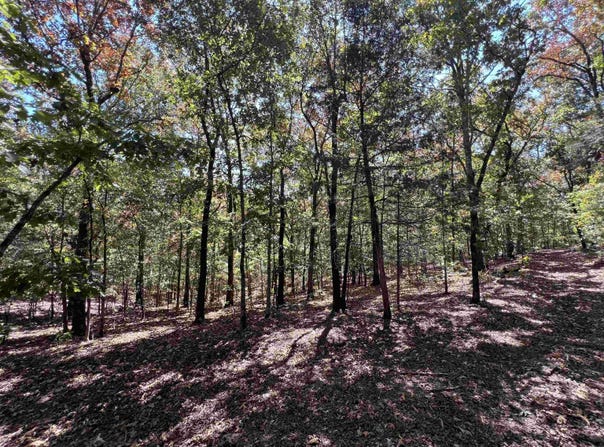 Cee Jay Ln, Sulphur Rock, AR 72579
