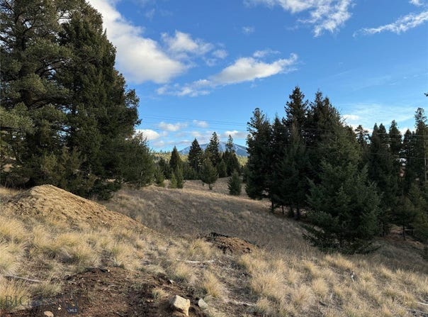 Lot 3 Scranton Lode, Philipsburg, MT 59858