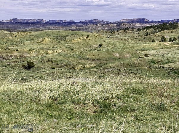 Davis Road, Miles City, MT 59301