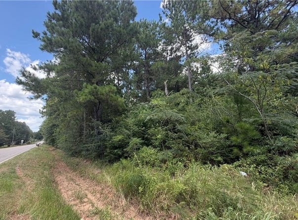 Jack Williams Road, Wilmer, AL 36587