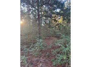 107 Lake Point Way, Bastrop, TX 78602