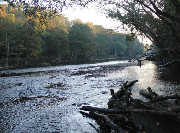 Ramsey Landing Rd, Pangburn, AR 72121