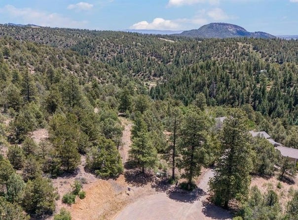 285 Logging Trail Road, Durango, CO 81303