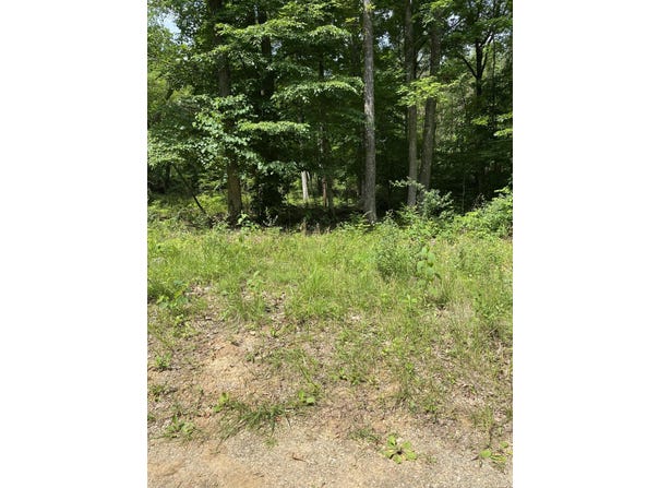 S Maugham Drive, Burnside, KY 42519
