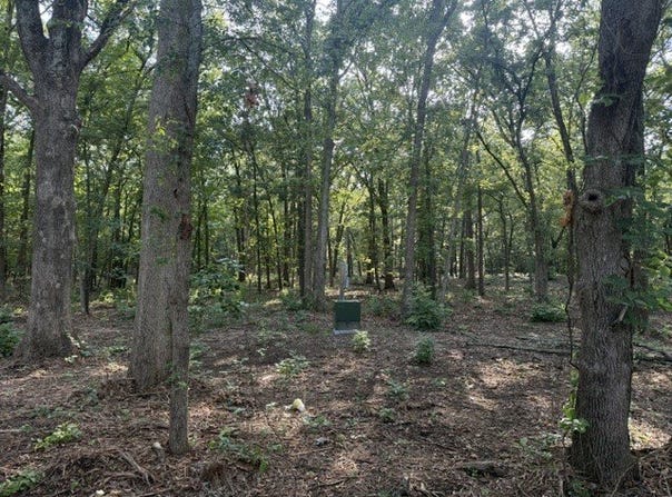57 PR 43955, Blossom, TX 75416