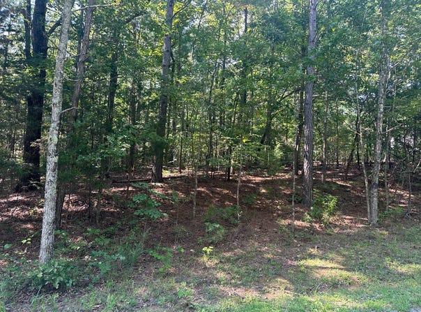 Clark Lane, Buchanan, TN 38222