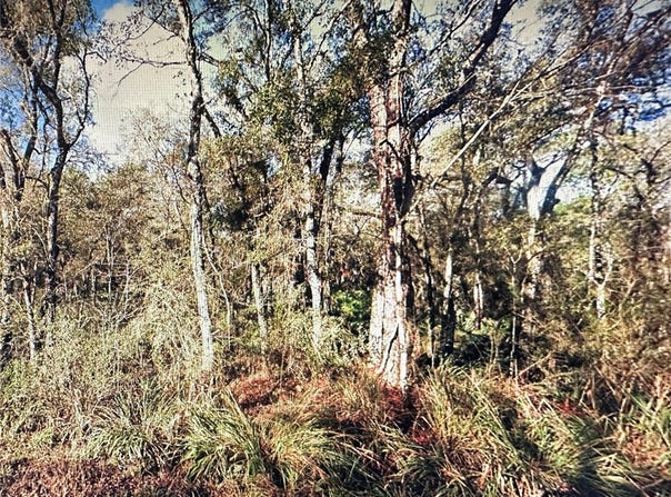 TABLE ROCK Drive, WEBSTER, FL 33597