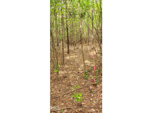 Helena Moriah Road, Timberlake, NC 27583