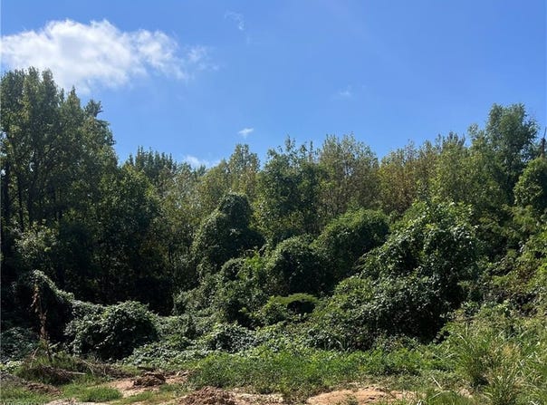 TBD Ash ST, Alma, AR 72921
