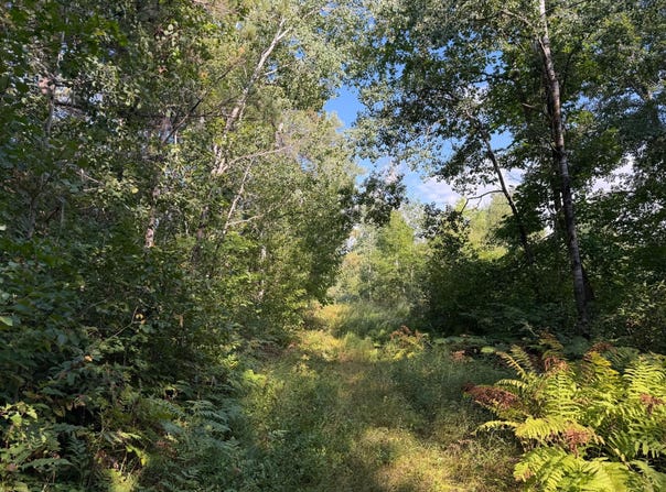 Klice Road, Willow River, MN 55795