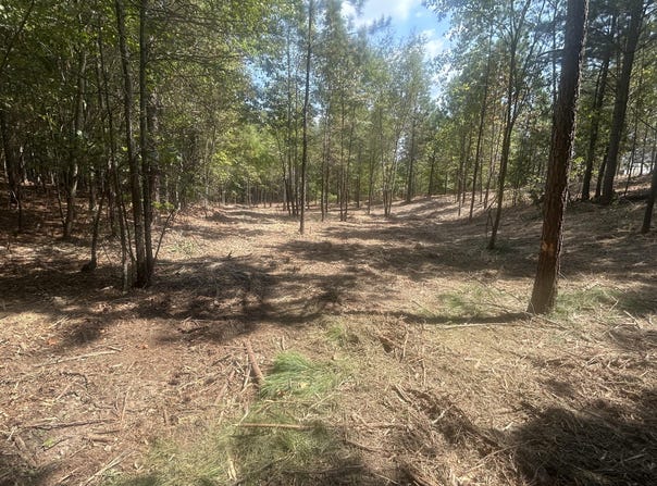 13 Stonechase Lane, Cohutta, GA 30710