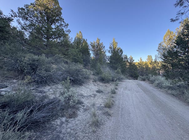Shasta, Sprague River, OR 97639