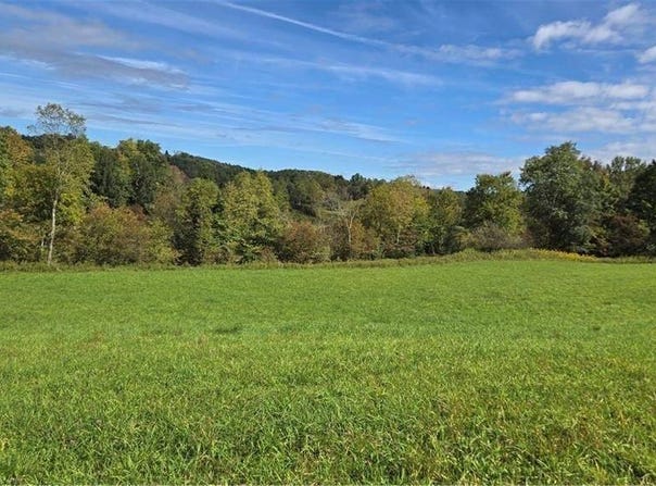 244 Backus Road, New Lisbon, NY 13315