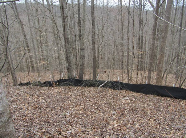 W Bobcat Lane lot: 60, Wilder, TN 38589