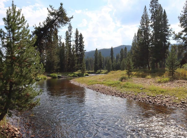 L49 Secesh River Road, McCall, ID 83638