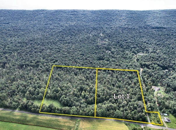 Wp Lot 001 Summit Rd, Mc Clure, PA 17841