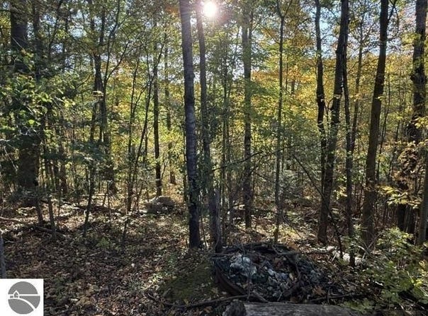 Lakeview Drive, Hale, MI 48739-9128