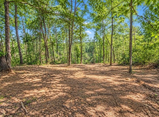 00 Shakerag Road, Hanson, KY 42412