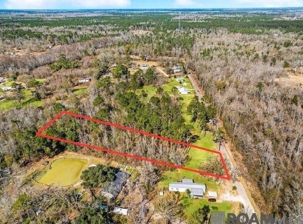Carthage Bluff Rd, Springfield, LA 70462
