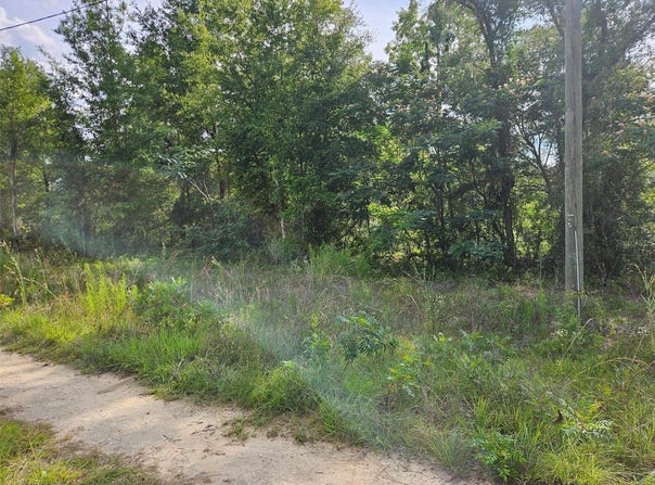 NE 153RD Avenue, WILLISTON, FL 32696