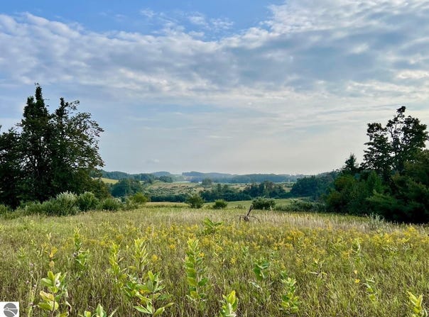 Skinner Road, Ellsworth, MI 49729