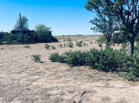 605 Impala, Logan, NM 88426