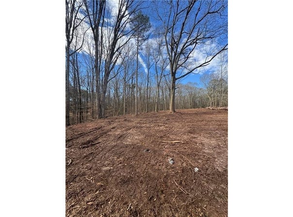 231 Roosevelt Circle, Bowman, GA 30624