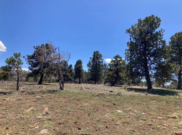 62X Road lot: 14, Placerville, CO 81430