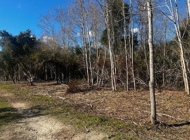 Bellingrath Road, Theodore, AL 36582