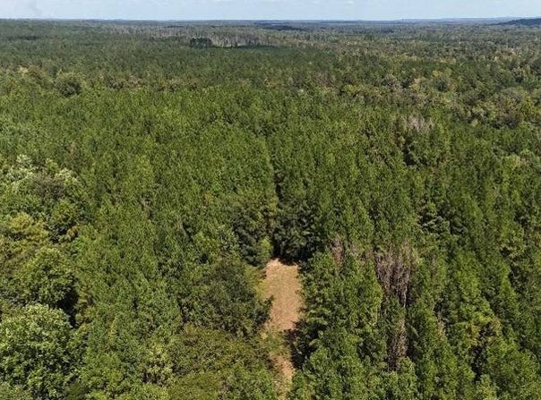 Oakey Streak Road, Red Level, AL 36028