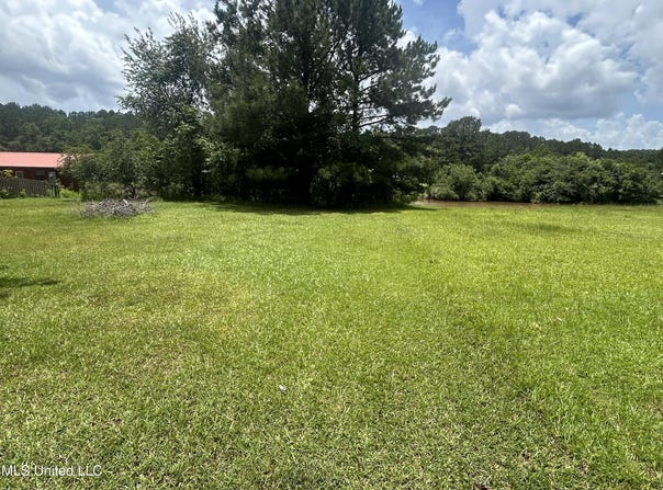 Cypress Road, Pachuta, MS 39347