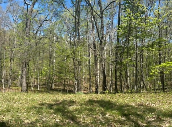 Darwin Ln., Lot #120, Crossville, TN 38558
