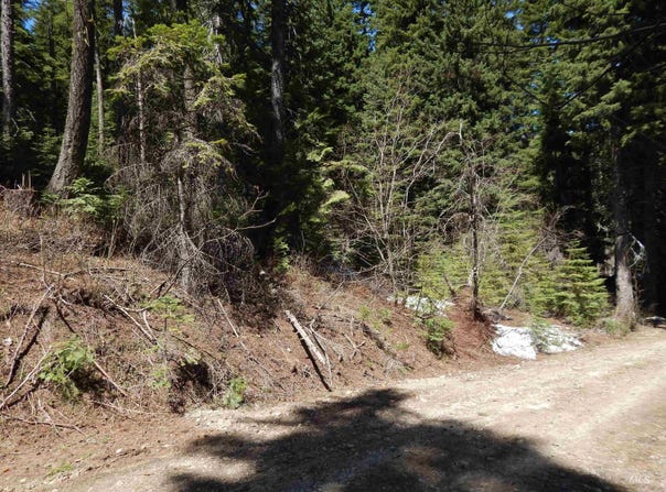 1601 Bear Trail Loop, Donnelly, ID 83615