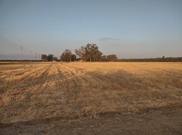Lovers Lane, Visalia, CA 93292