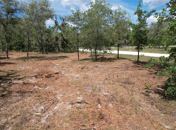 SE 53RD Lane, MORRISTON, FL 32668
