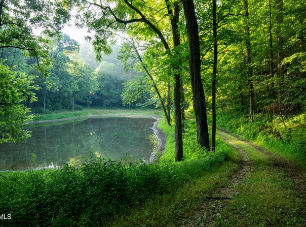 502/Ac Tbd Gregory Road, Sneedville, TN 37869