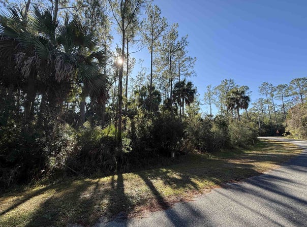 Hobbs Way, St Marks, FL 32355