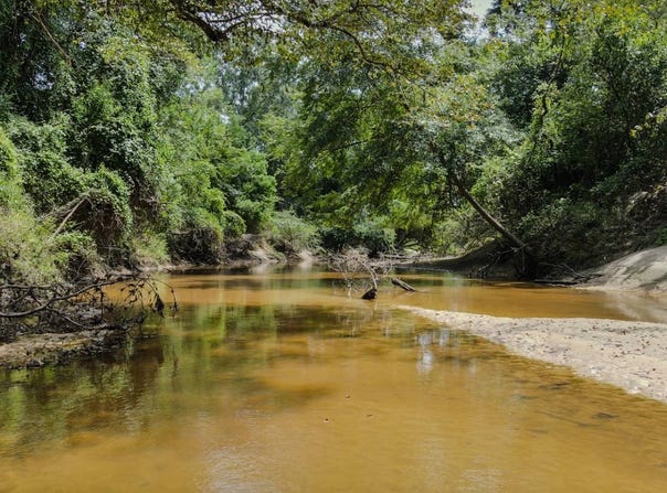 Flynt Road, Laurel, MS 39443