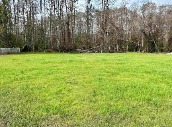 26265 Riverscape Dr, Springfield, LA 70462