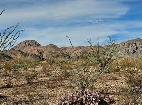 Gate 4 Road, Terlingua, TX 79852