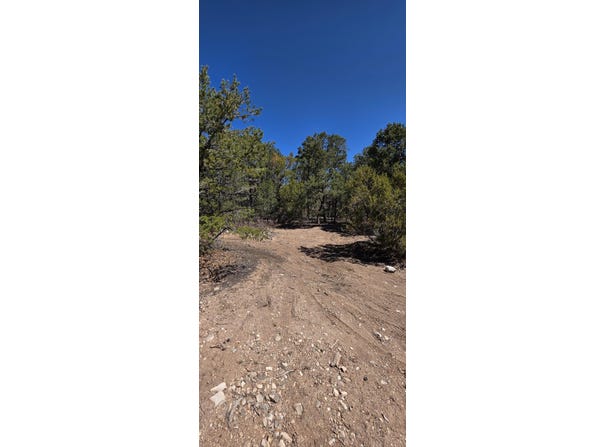 Chico Road, Edgewood, NM 87015