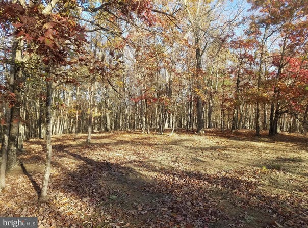 ACORN LANE, ROMNEY, WV 26757