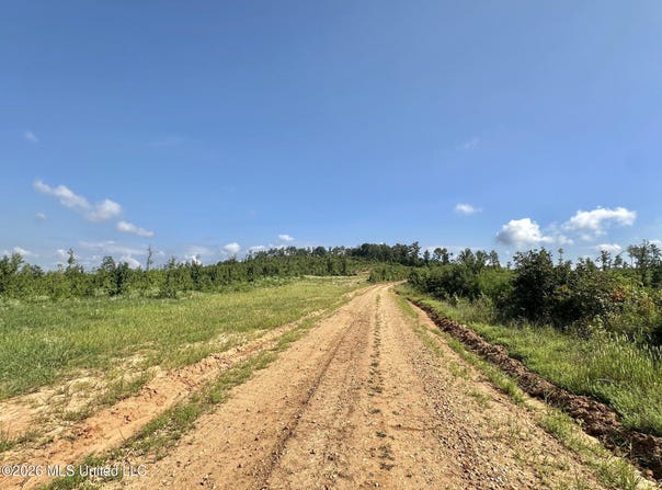 2 Will Womack, Mantee, MS 39751
