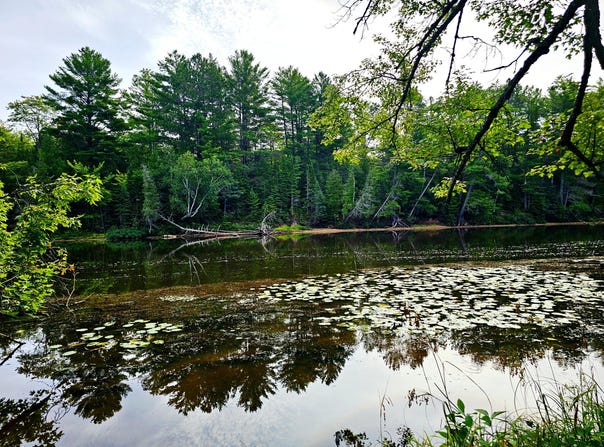 Smith Rd, MI 49868