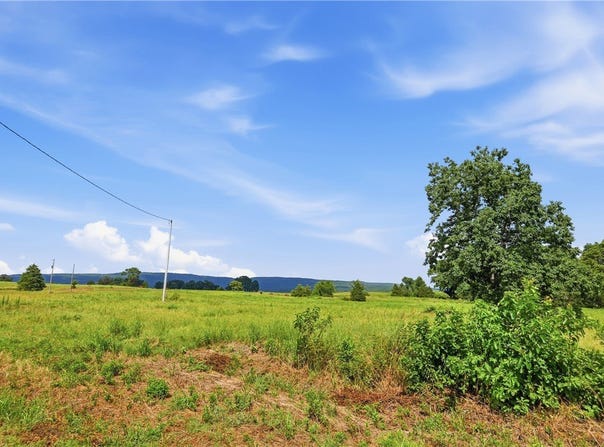 TBD Tract 4 Llewellyn Loop lot: 4, Hector, AR 72843