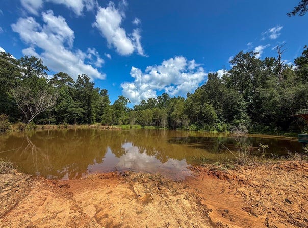 1025 Co Rd 83, Burnsville, AL 36703