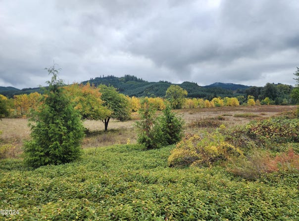 19326 Alsea Highway, Alsea, OR 97324
